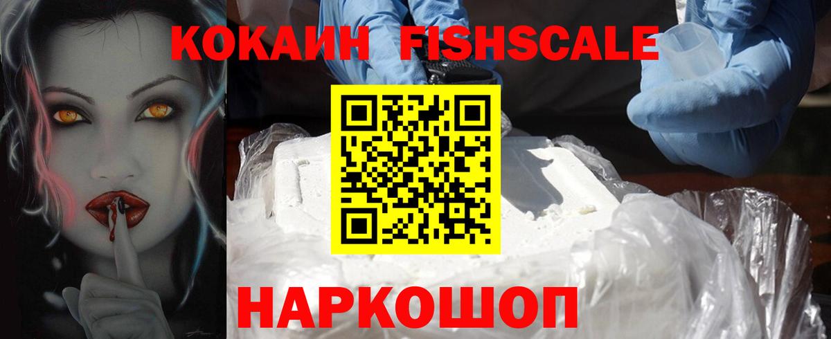 Cocaine Fish Scale  Вход с VPN  Выборг 