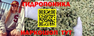 амф Кунгур