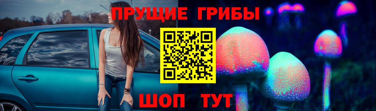 Галлюциногенные грибы MAGIC MUSHROOMS  Вход с VPN  Выборг 